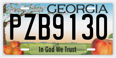 GA license plate PZB9130