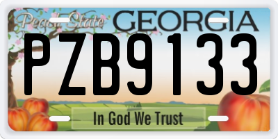 GA license plate PZB9133
