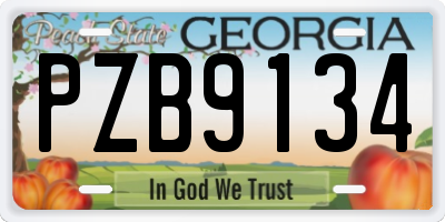 GA license plate PZB9134