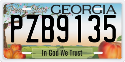 GA license plate PZB9135
