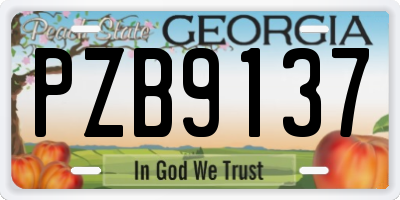 GA license plate PZB9137