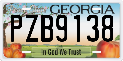 GA license plate PZB9138