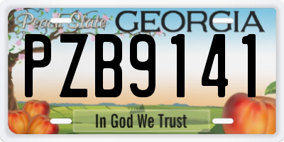 GA license plate PZB9141