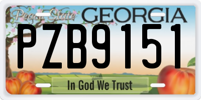 GA license plate PZB9151