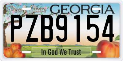 GA license plate PZB9154