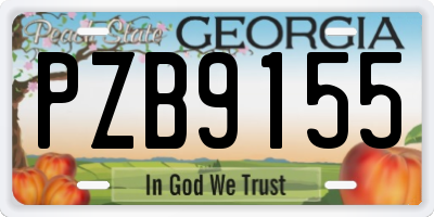 GA license plate PZB9155