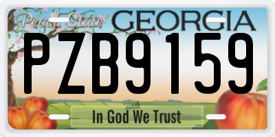 GA license plate PZB9159