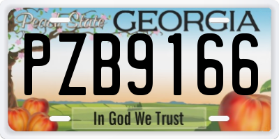GA license plate PZB9166
