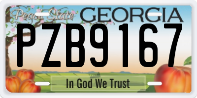 GA license plate PZB9167