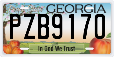 GA license plate PZB9170