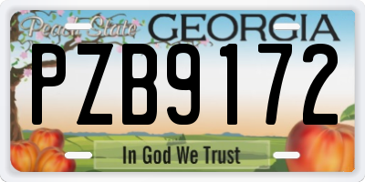 GA license plate PZB9172