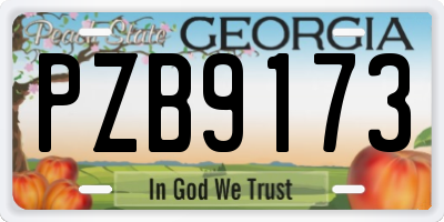 GA license plate PZB9173