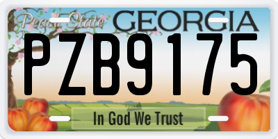 GA license plate PZB9175
