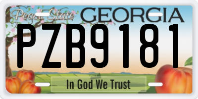 GA license plate PZB9181