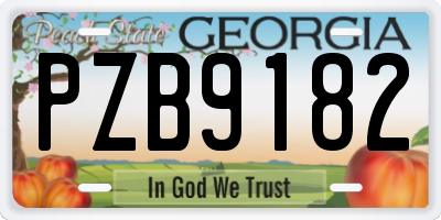 GA license plate PZB9182