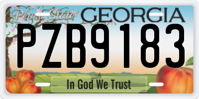GA license plate PZB9183