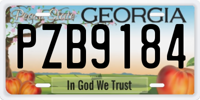 GA license plate PZB9184