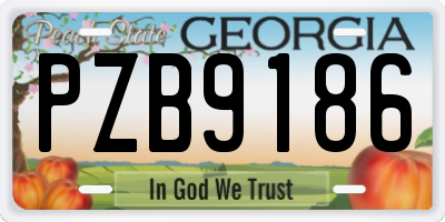 GA license plate PZB9186