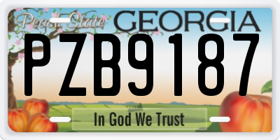 GA license plate PZB9187