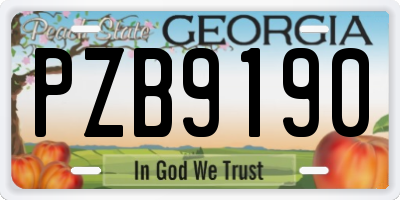 GA license plate PZB9190