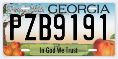 GA license plate PZB9191