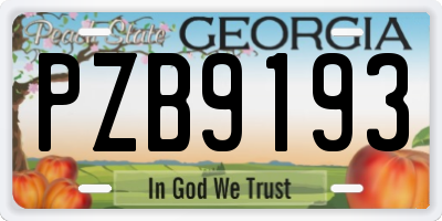 GA license plate PZB9193