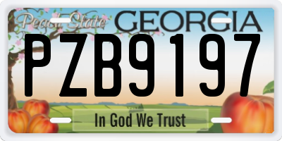 GA license plate PZB9197