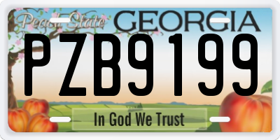 GA license plate PZB9199