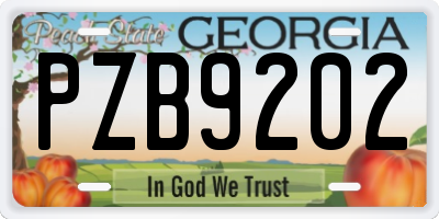 GA license plate PZB9202