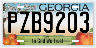 GA license plate PZB9203