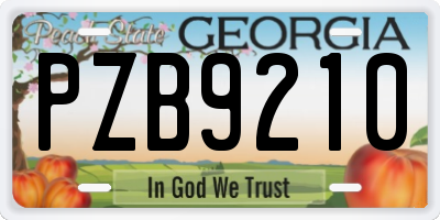 GA license plate PZB9210