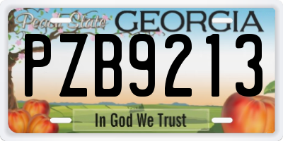 GA license plate PZB9213