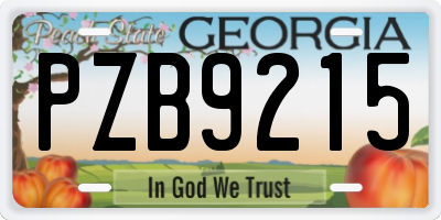 GA license plate PZB9215
