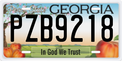 GA license plate PZB9218