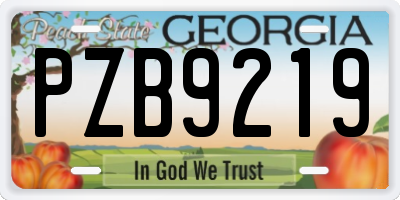 GA license plate PZB9219