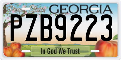 GA license plate PZB9223