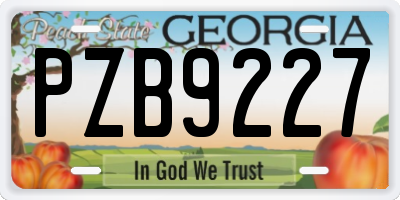 GA license plate PZB9227