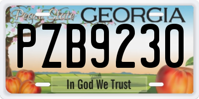 GA license plate PZB9230