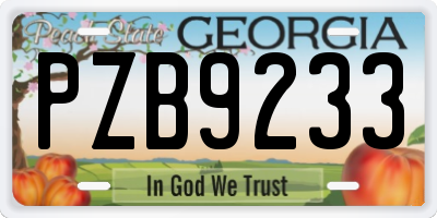 GA license plate PZB9233