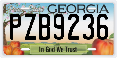 GA license plate PZB9236