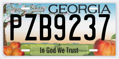 GA license plate PZB9237