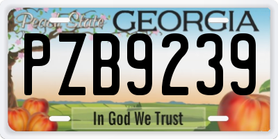GA license plate PZB9239