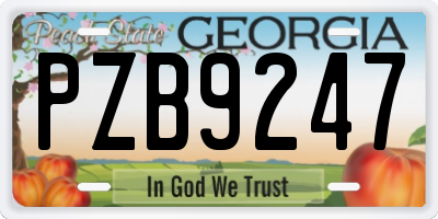 GA license plate PZB9247