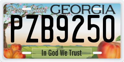 GA license plate PZB9250