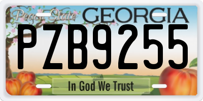 GA license plate PZB9255