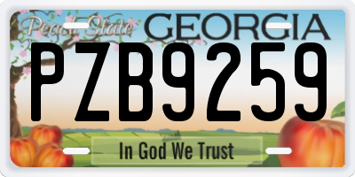 GA license plate PZB9259