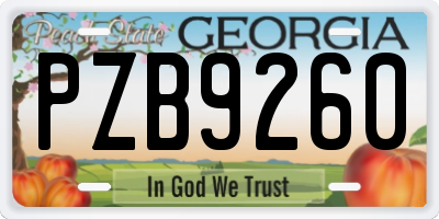 GA license plate PZB9260