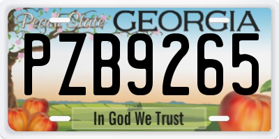 GA license plate PZB9265