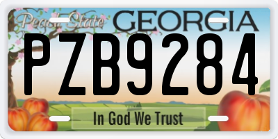 GA license plate PZB9284