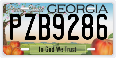 GA license plate PZB9286